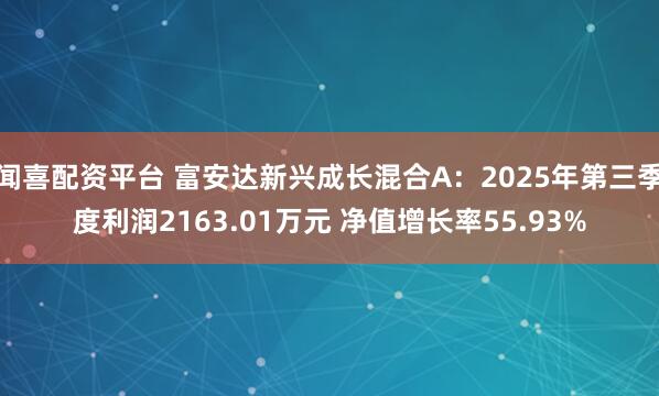 闻喜配资平台 富安达新兴成长混合A：2025年第三季度利润2163.01万元 净值增长率55.93%
