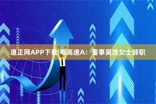 道正网APP下载 粤高速A：董事吴浩女士辞职