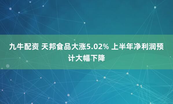 九牛配资 天邦食品大涨5.02% 上半年净利润预计大幅下降