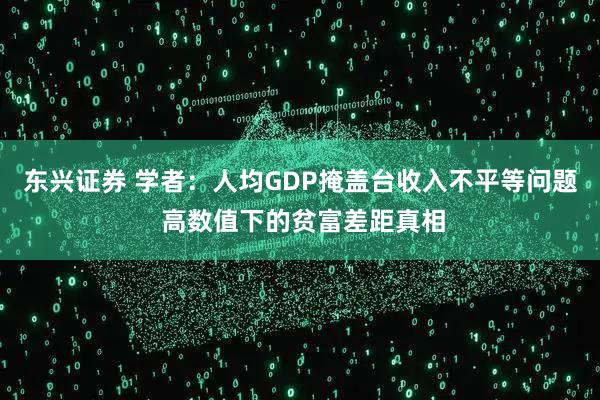 东兴证券 学者：人均GDP掩盖台收入不平等问题 高数值下的贫富差距真相